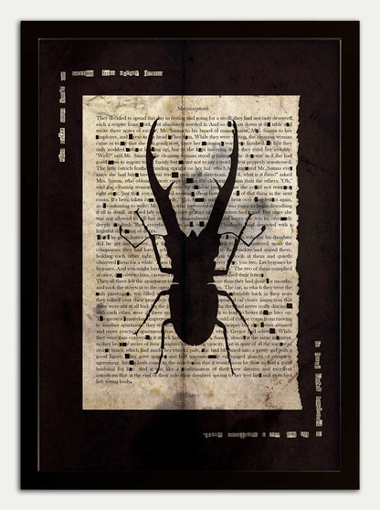 Metamorphosis "Stag Beetle" Black Edition Fine Art Print